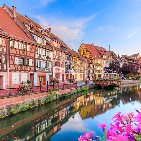 Appartement Avec Terrasse Entre Vignes, Balades, Alsace Guebwiller Ngoại thất bức ảnh