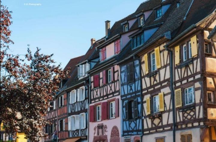 Appartement Avec Terrasse Entre Vignes, Balades, Alsace Guebwiller Ngoại thất bức ảnh