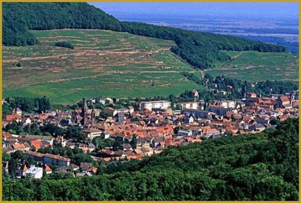 Appartement Avec Terrasse Entre Vignes, Balades, Alsace Guebwiller Ngoại thất bức ảnh
